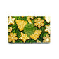 Holiday Postcard Chocolate Bar