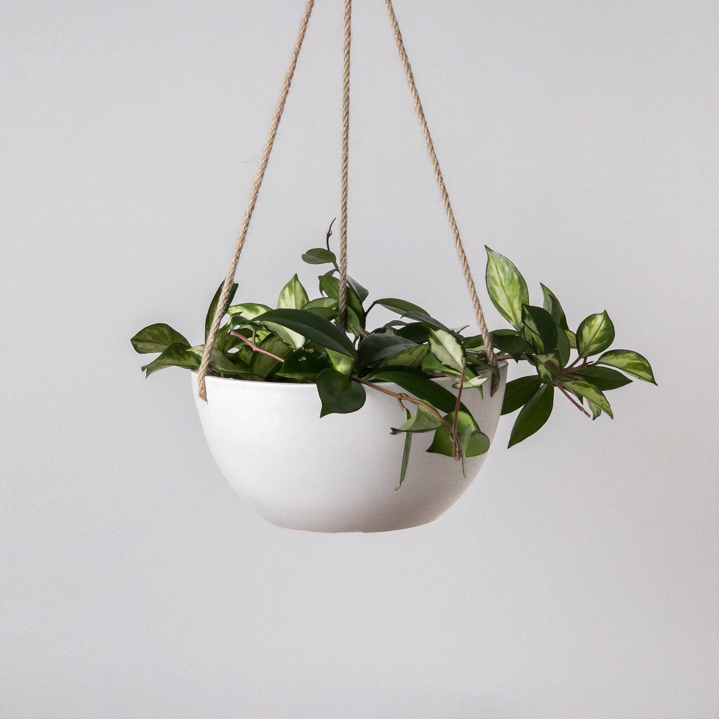 12" Rounded Signature Stone Hanging Planter