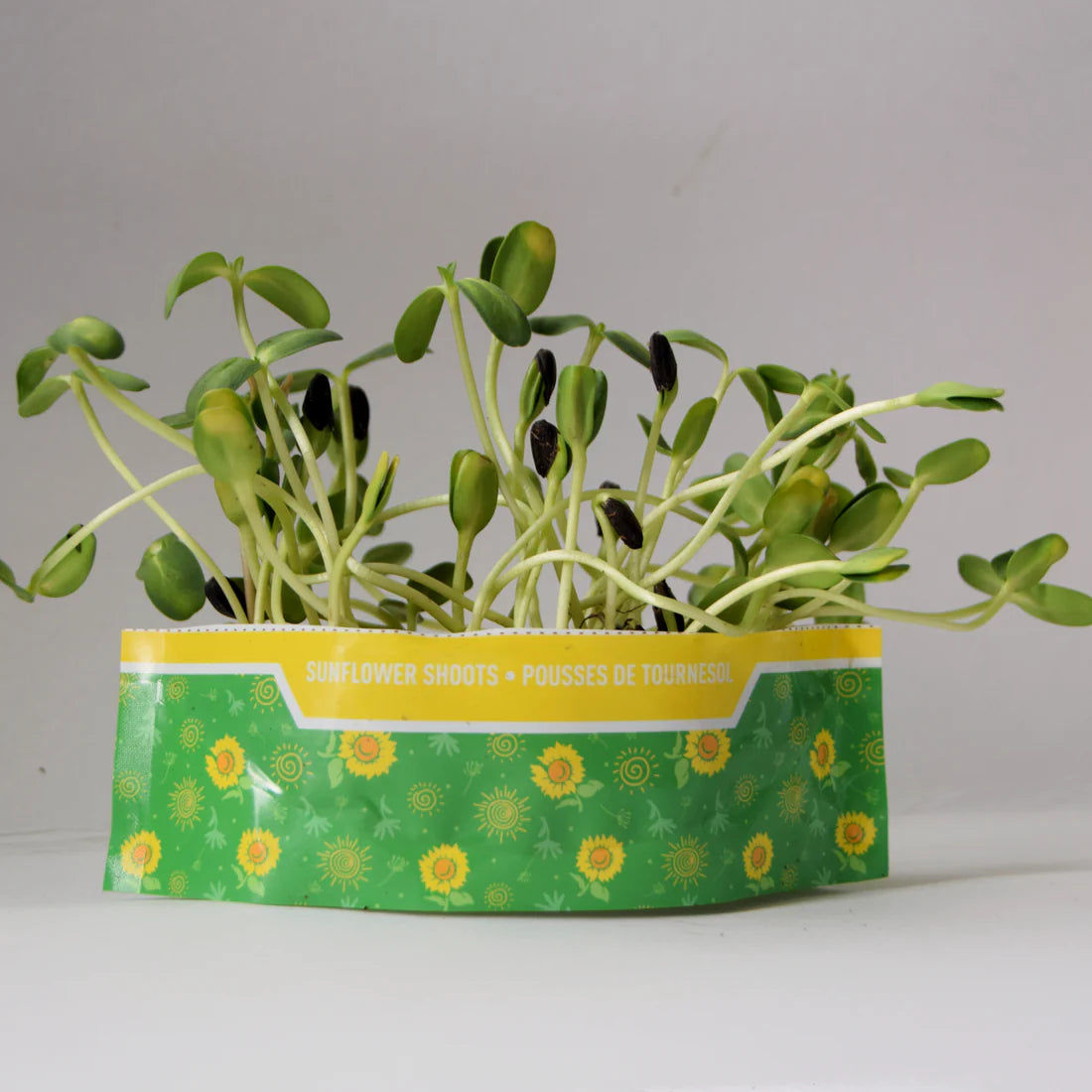Micro Garden Microgreens Kit Bundle - ALL 7 varieties